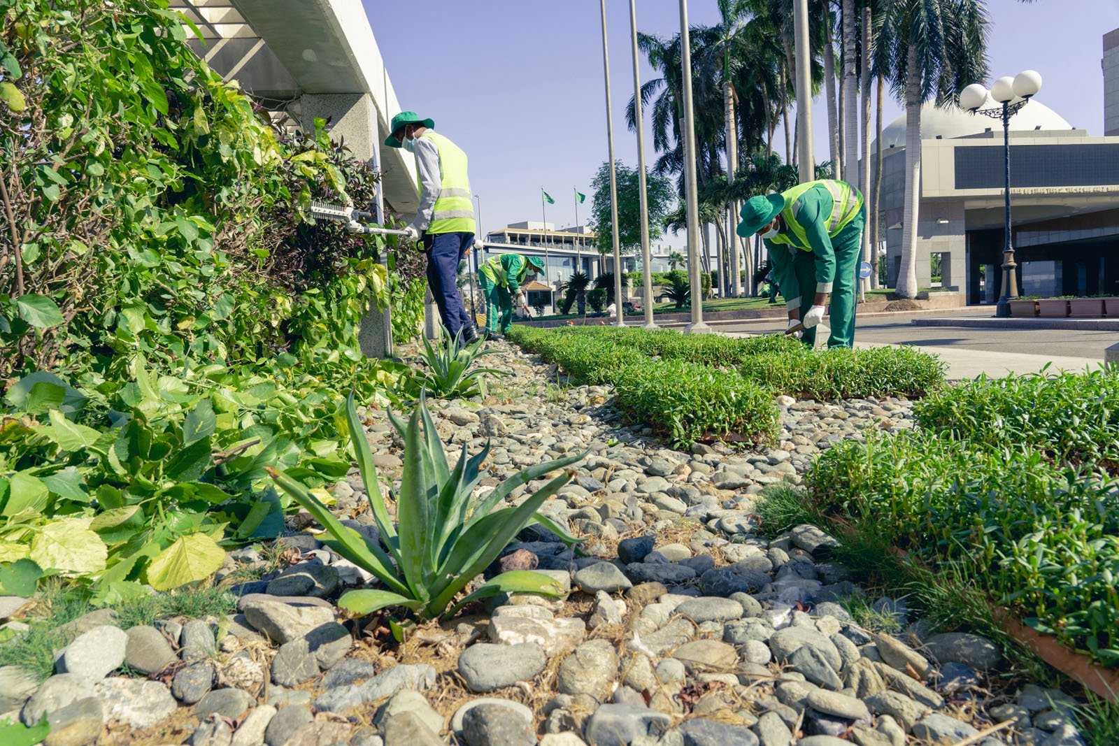 New Leaf Services Apartments Landscape Maintenance