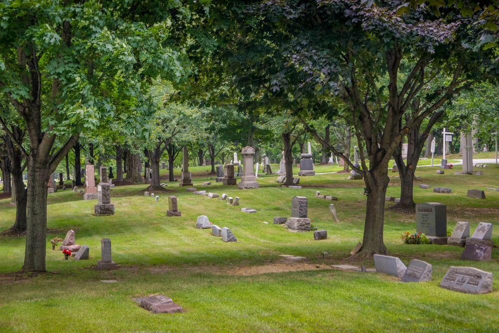 New Leaf Services Cemetery Tree Care