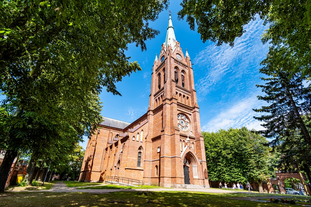 New Leaf Services Church Tree Care