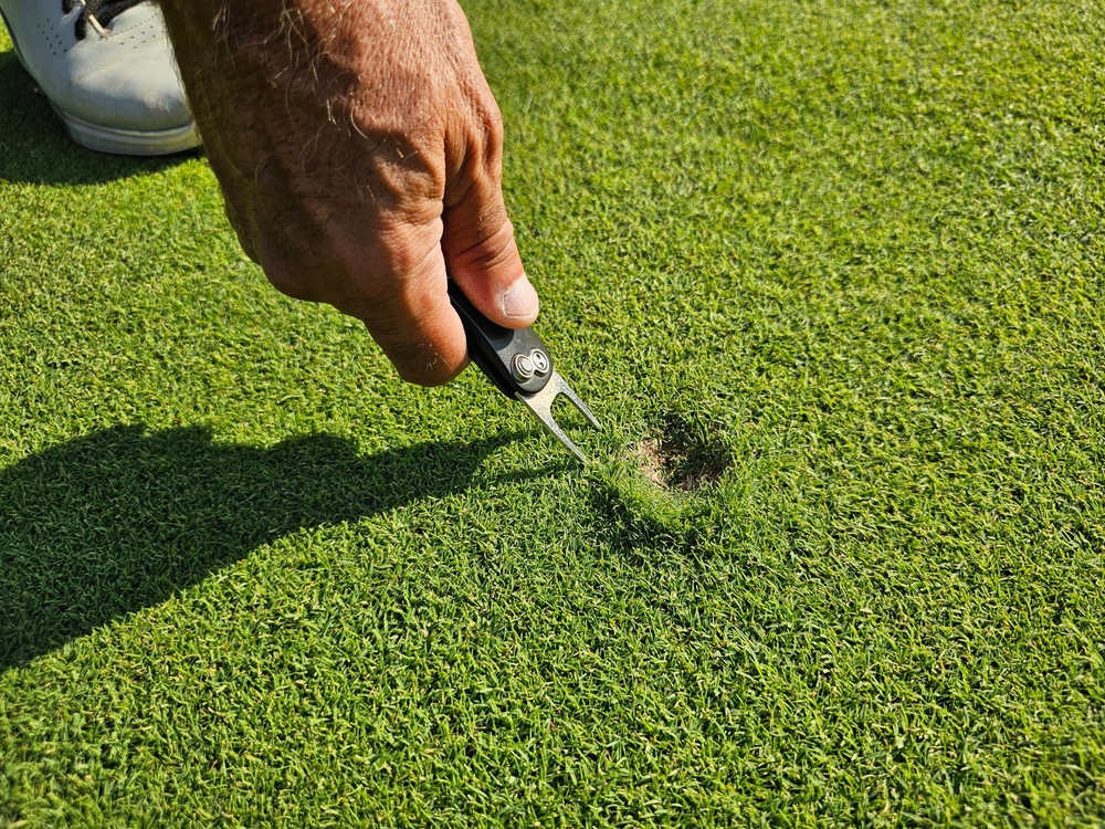 New Leaf Services Golf Course Landscape Maintenance