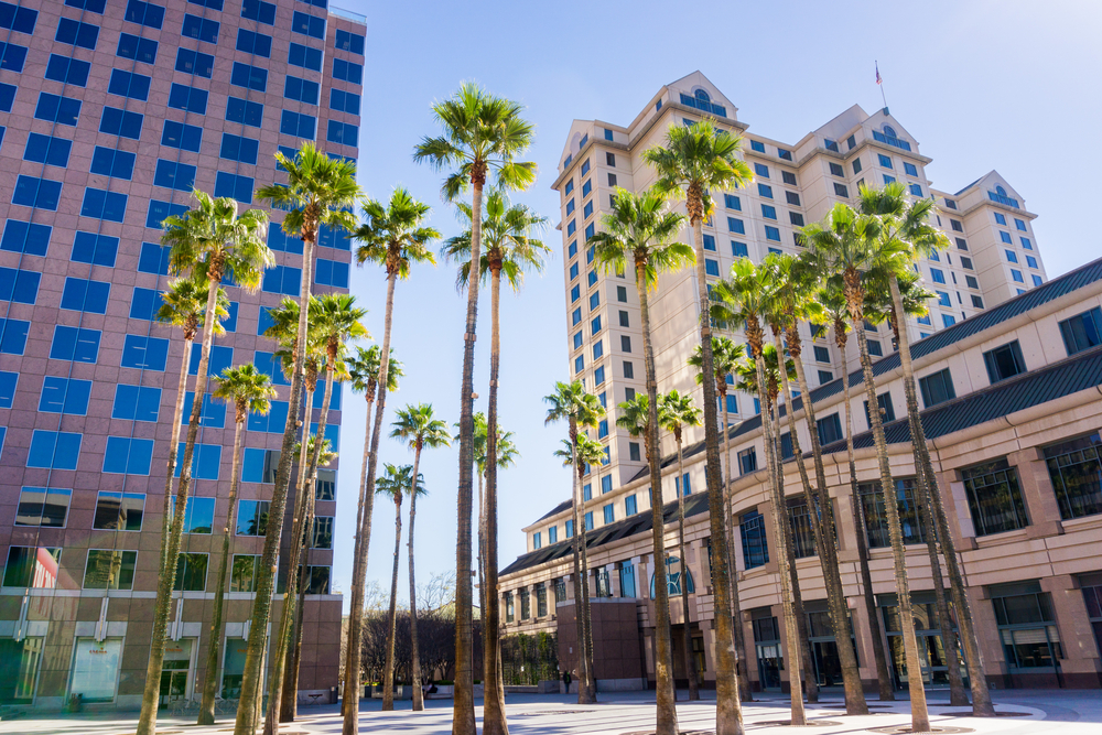 hotel urban landscaping with palm trees