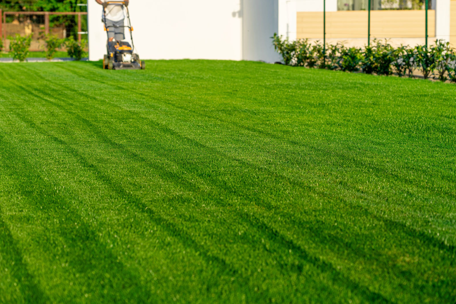 New Leaf Services Real Estate Lawn Maintenance