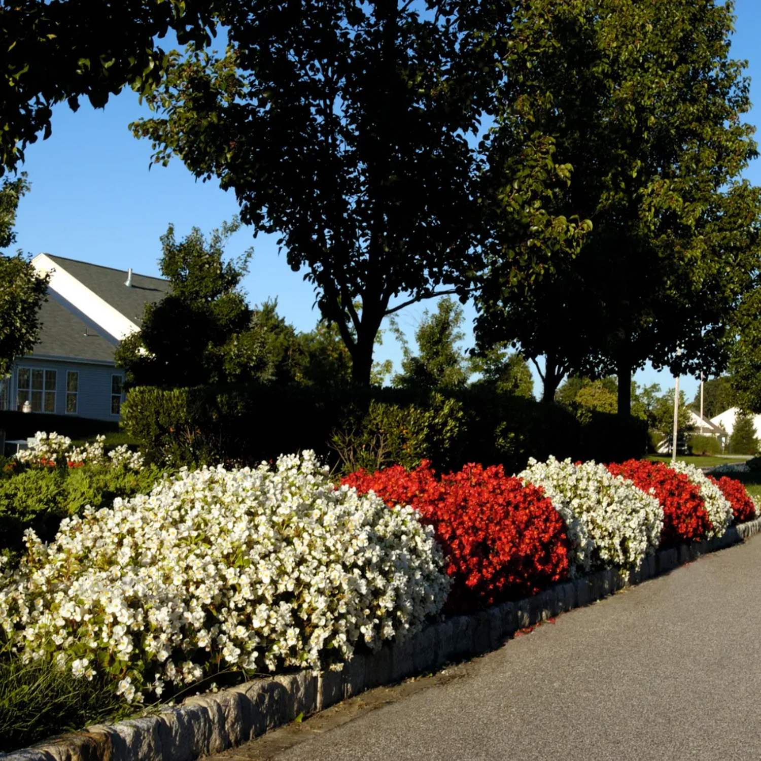 Commercial landscaping by New Leaf Services in Houston, Texas.