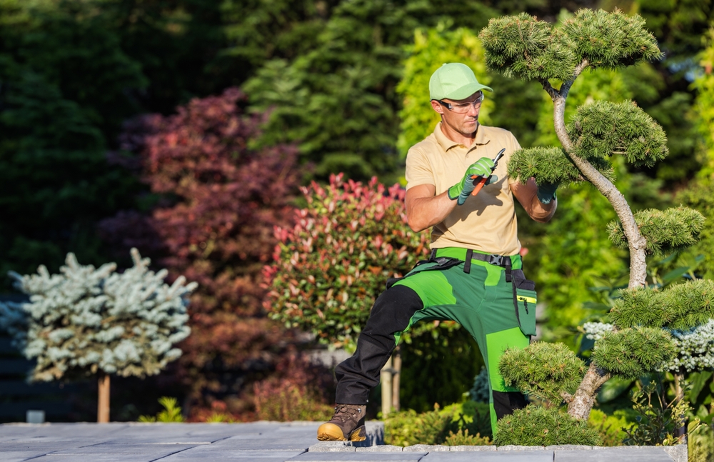 New Leaf Services Church Landscape Maintenance