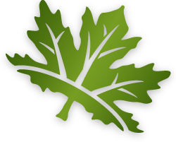 New Leaf Logo